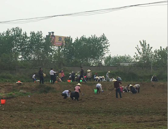 xc sports(中国区)-官方网站