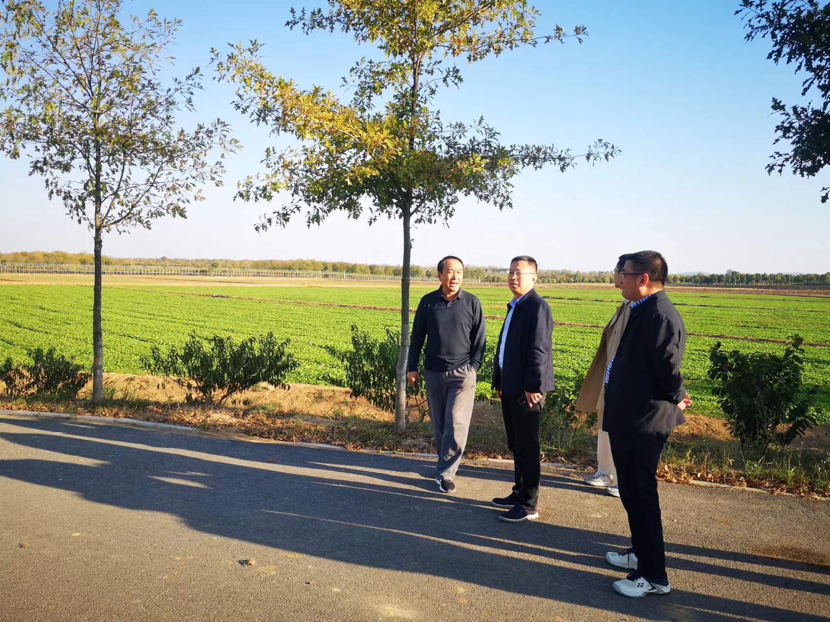 xc sports(中国区)-官方网站