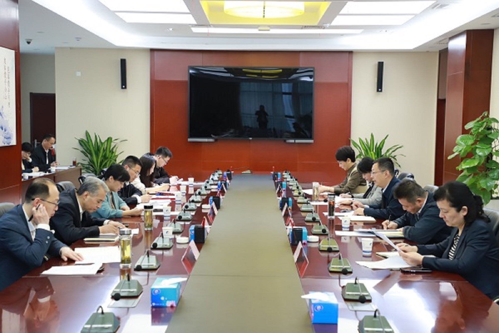 xc sports(中国区)-官方网站