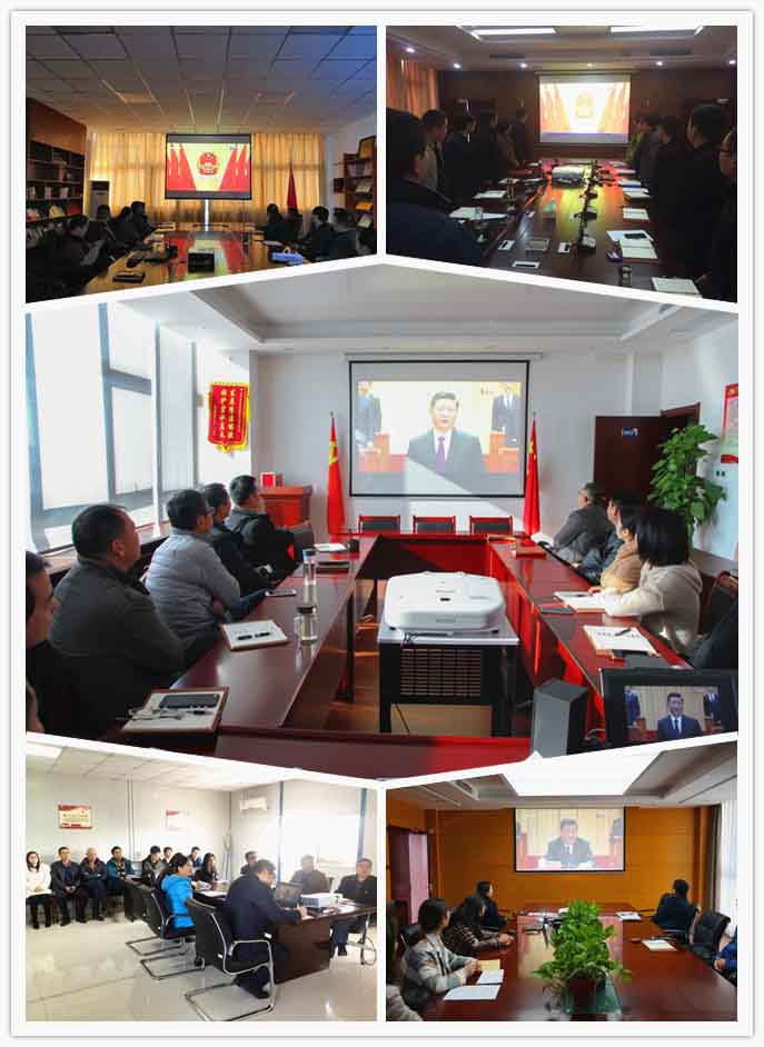 xc sports(中国区)-官方网站
